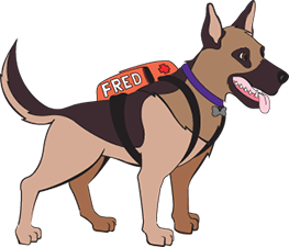 Image of Fred, el perro de la preparacion